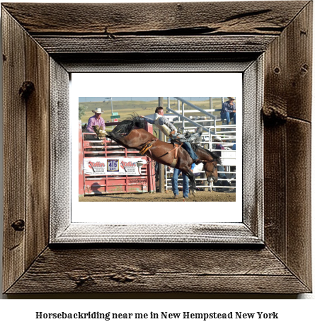 horseback riding near me in New Hempstead, New York